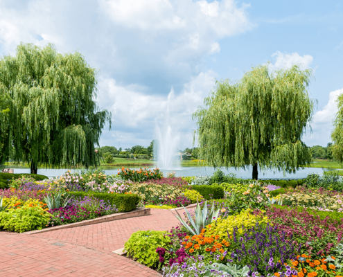 Chicago Northwest Suburbs