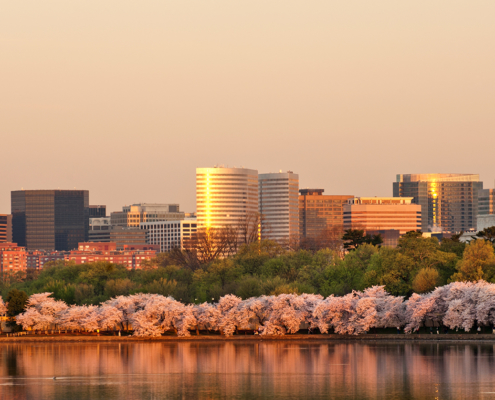 Northern Virginia